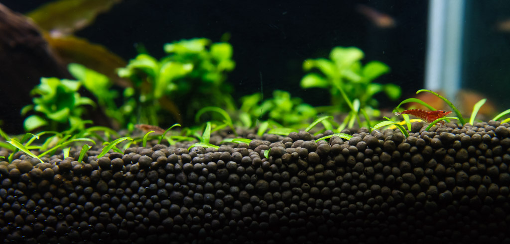 Aquarium Plant Soil Substrate Maximizing Growth and Health in Aquatic Plants